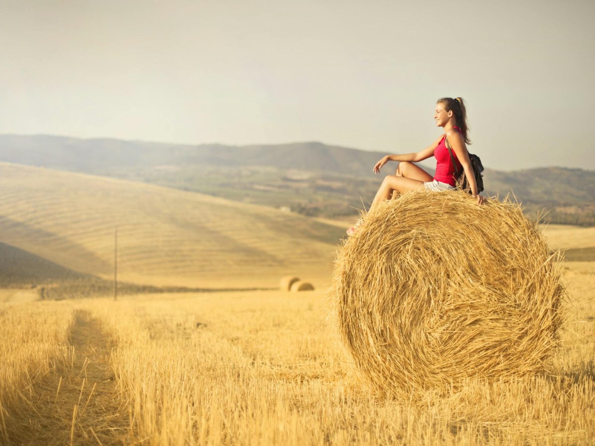 Harvest Your Year: How to Reflect and Reset Before the&nbsp;Holidays